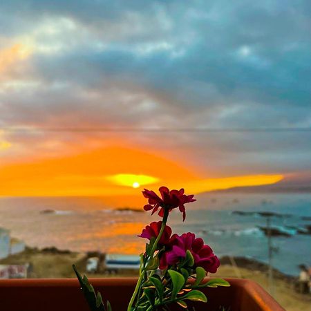 Hotel Aloha Chala Bagian luar foto
